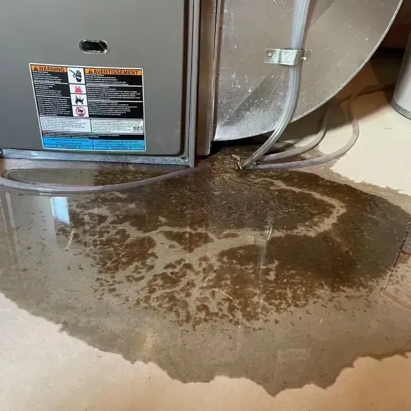 Appliance Leak Cleanup in Fremont County, CO